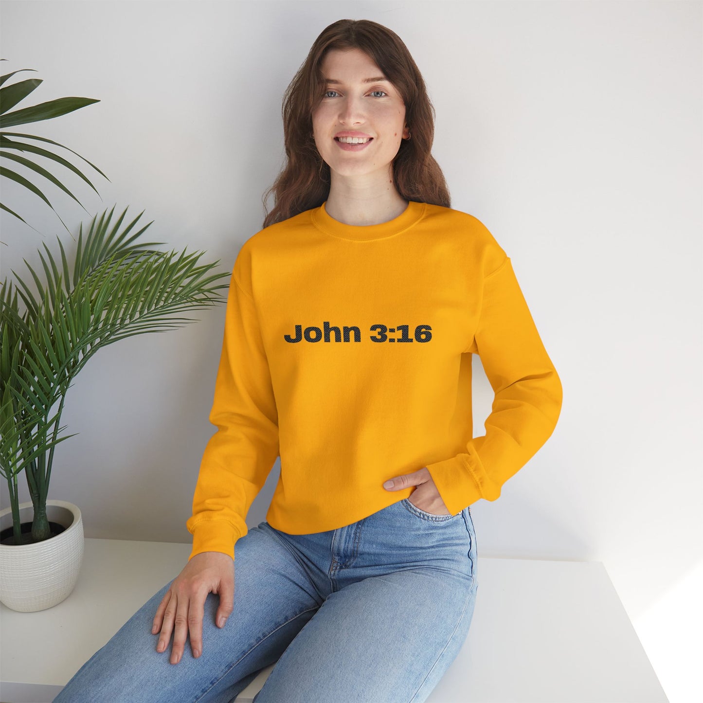 John 3:16 Crewneck Sweatshirt — Minimal Christian Scripture Pullover